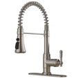 Androme single handle sprayer with deck plate and swivel spout-Brushed Nickel