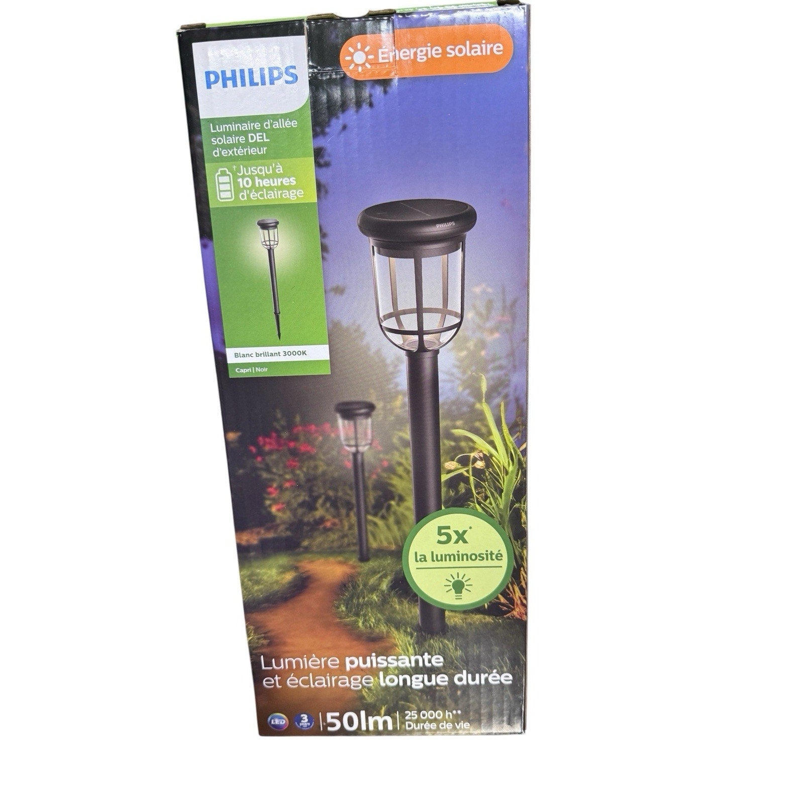 Phillips Capri Outdoor Solar LED Path Light Black Path Light