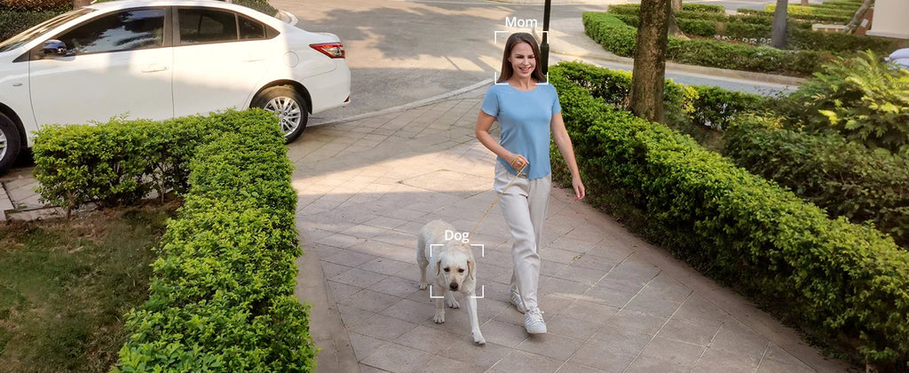 Renewed eufy Security SoloCam S220, Solar Security Camera, Wireless Outdoor Camera, Continuous Power, 2K Resolution, Wireless