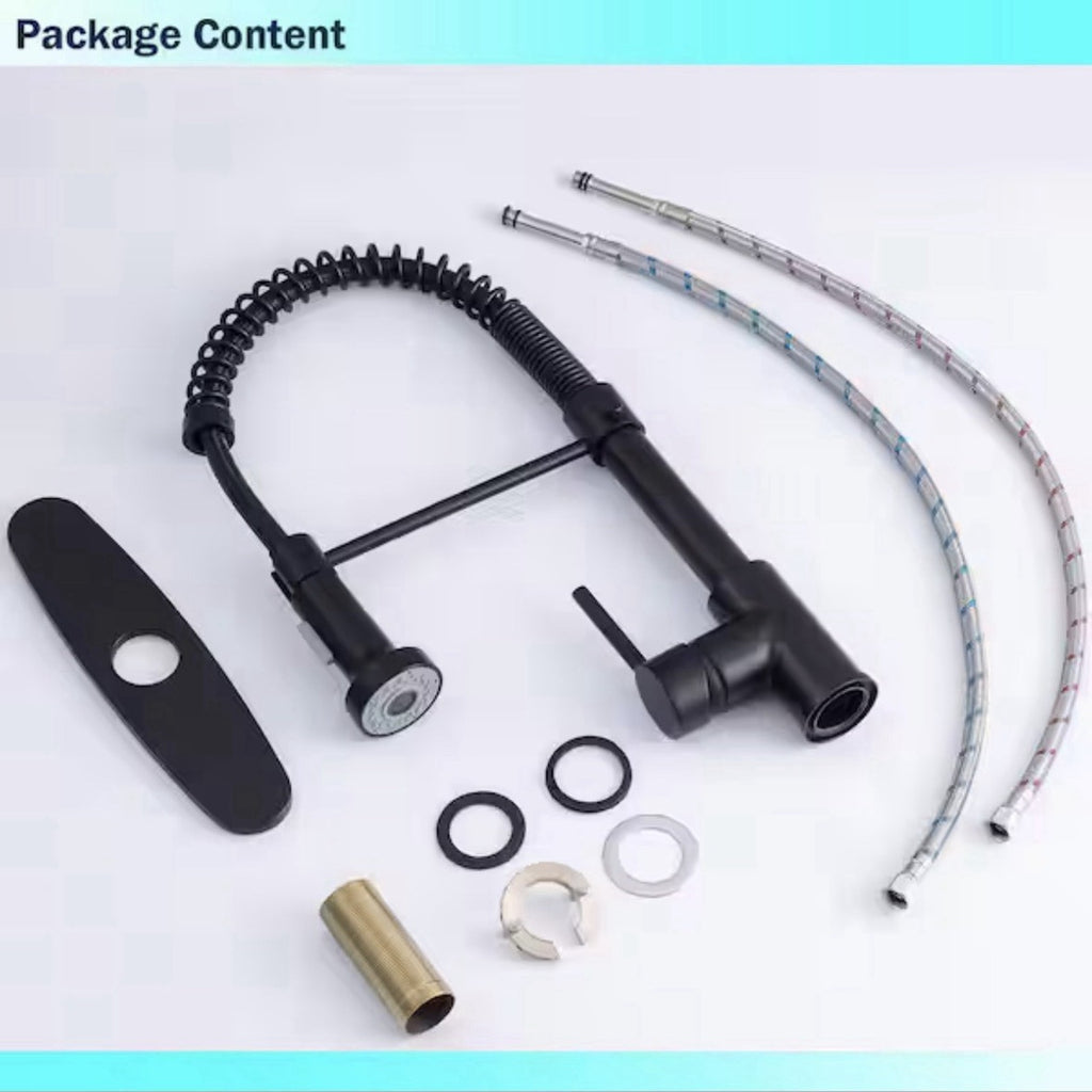 AKLFGN 1-Handle Pull Down Sprayer Kitchen Faucet Spring