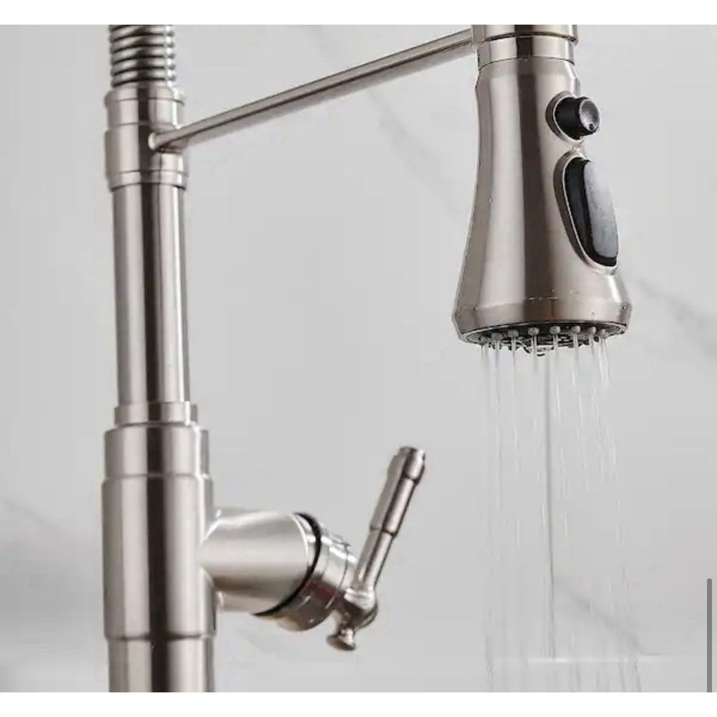 Androme single handle sprayer with deck plate and swivel spout-Brushed Nickel